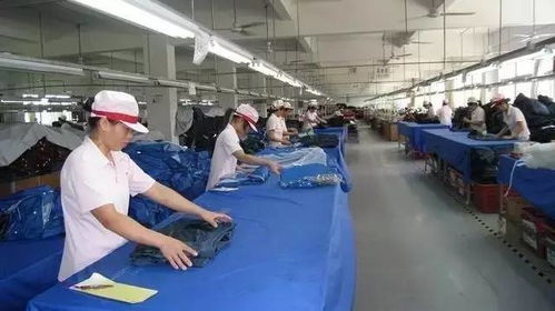 生產(chǎn)、品質(zhì)與技術(shù)三大部門的法律關(guān)系與協(xié)作機制