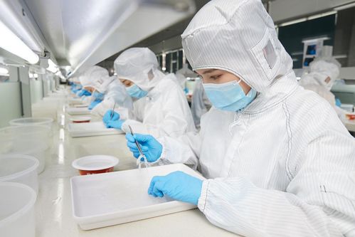 再登世界品質(zhì)之巔 燕之屋榮獲歐盟BRC IFS雙認(rèn)證，硬件研發(fā)成就卓越